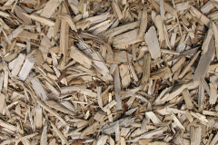 biomass boilers Dun Colbost